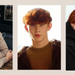 Strategies to Protect Pink Hair for Males’s: The Remaining Care Data Maintain Red Hair for Men