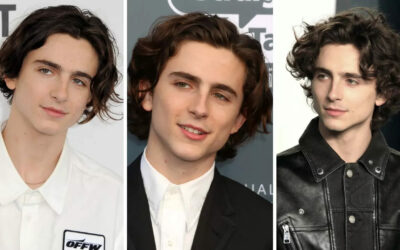 Timothée Chalamet’s Excessive Hairstyles: Your Closing Data